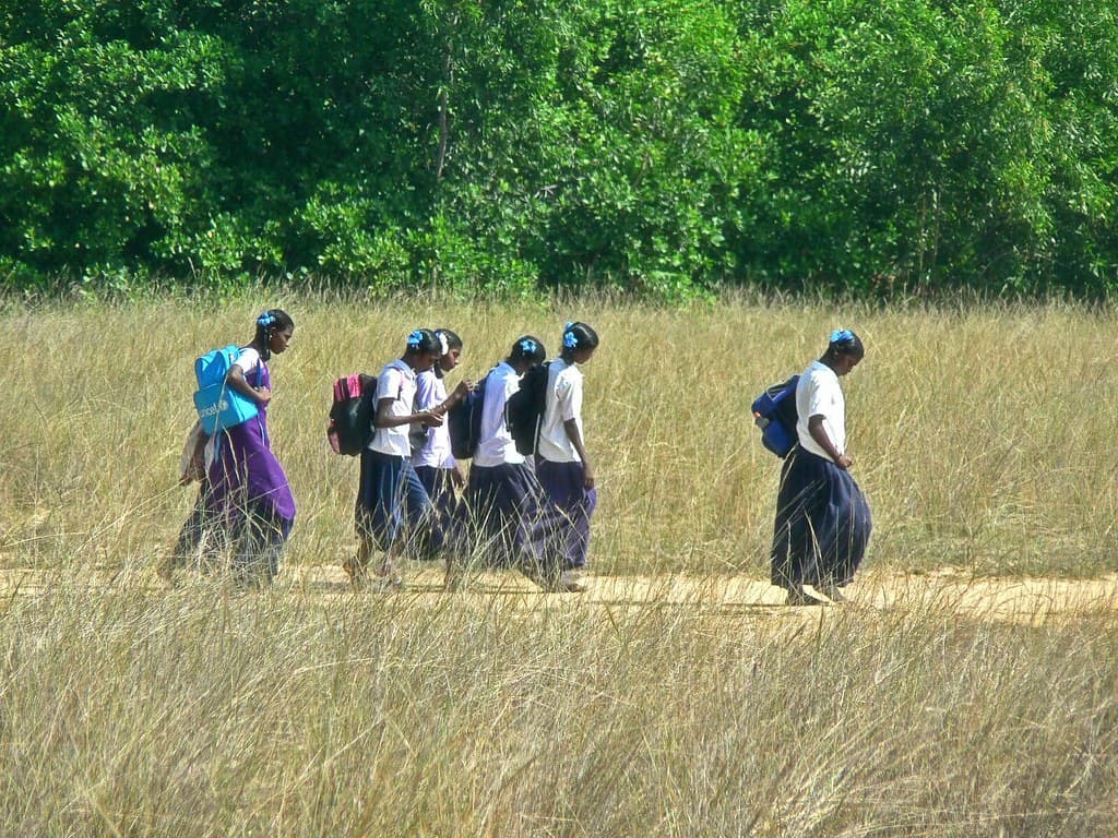 Indian students reading and library session